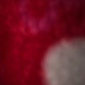 Meet your Posher, Celia